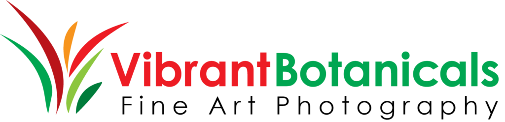 Vibrant Botanicals Logo