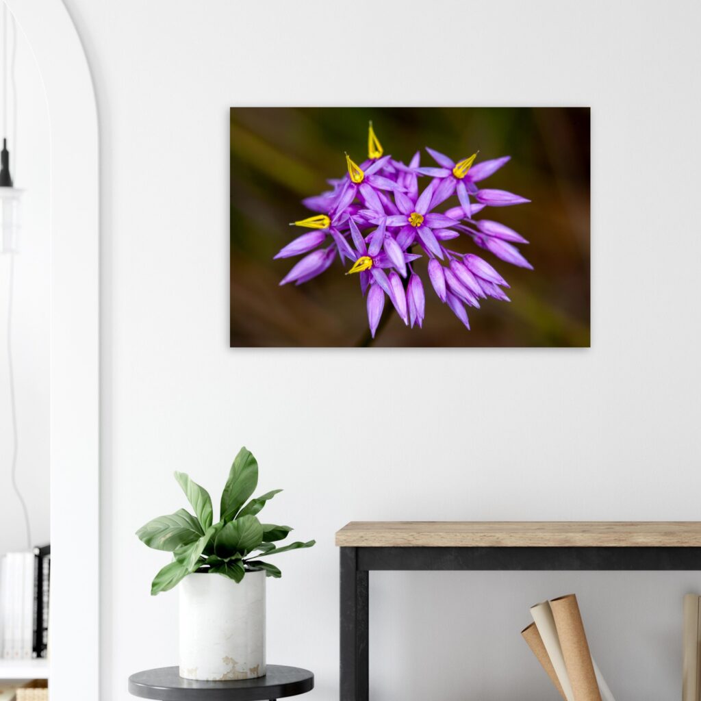 Botanical fine art prints featuring flowers in macro photography